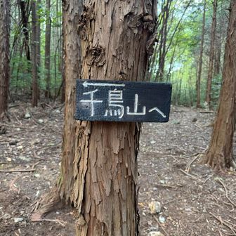 千鳥山への案内板