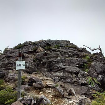 到着と思ったら烏帽子岳じゃなくて　烏帽子岩でした　あぶなー山頂踏まずに帰るとこやった😓