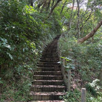 わかりにくいのですが、そのトイレの裏側に源氏山山頂へ上る階段があります。