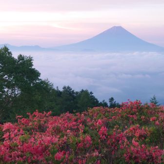 秀麗な富士山