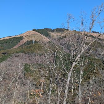 これから登る大野山