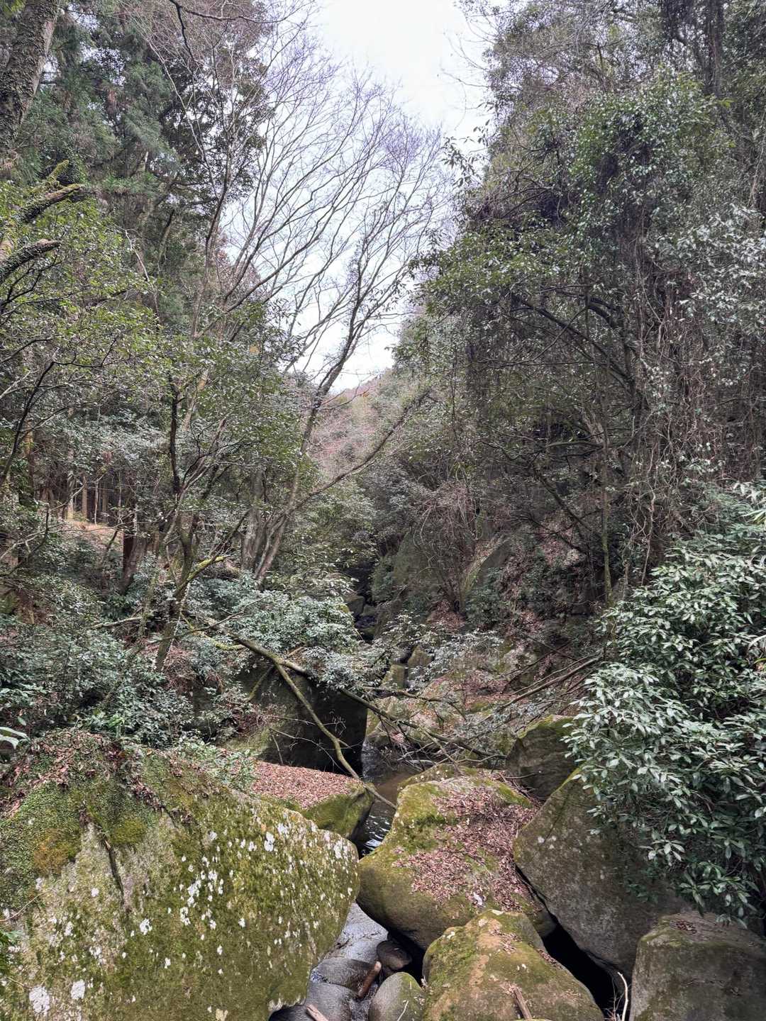 王滝渓谷入口-梟ヶ城址展望台-天下峯 周回コースの写真