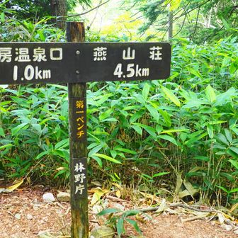 登山道の合戦尾根は狭い急登から始まります💪

この登山道には休憩するベンチがたくさんあるからね、と励ましながら登ります🚶‍♂️‍➡️
でもキツそうにしているメンバーも…
だから全てのベンチで休憩を取りながら登ることに☕️

まずは第一ベンチ♬
メンバーも休憩に嬉しそうです😊