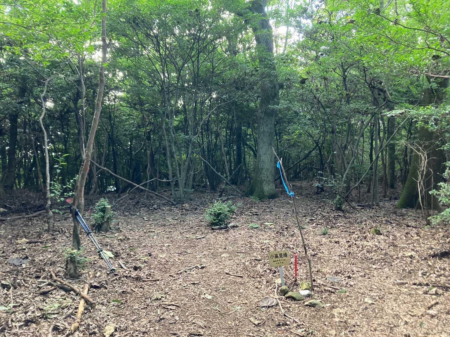 山頂表示と三角点は少し離れていた