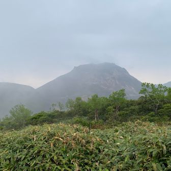 茶臼岳少し見えた