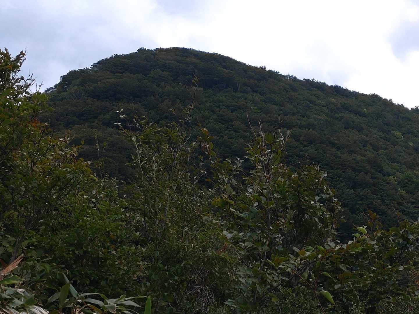 毛無山が目の前に迫る