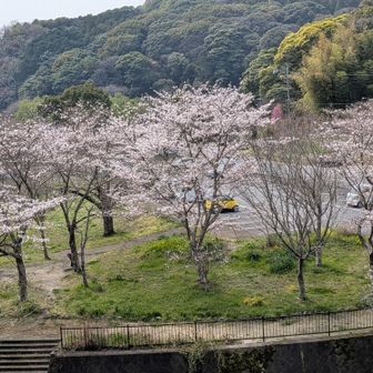 駐車場にゴール😃