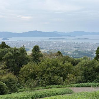 大村市街がよく見える