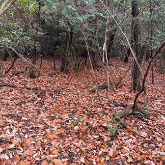 こっちの方へ行ってる人がいたから行ってみる。