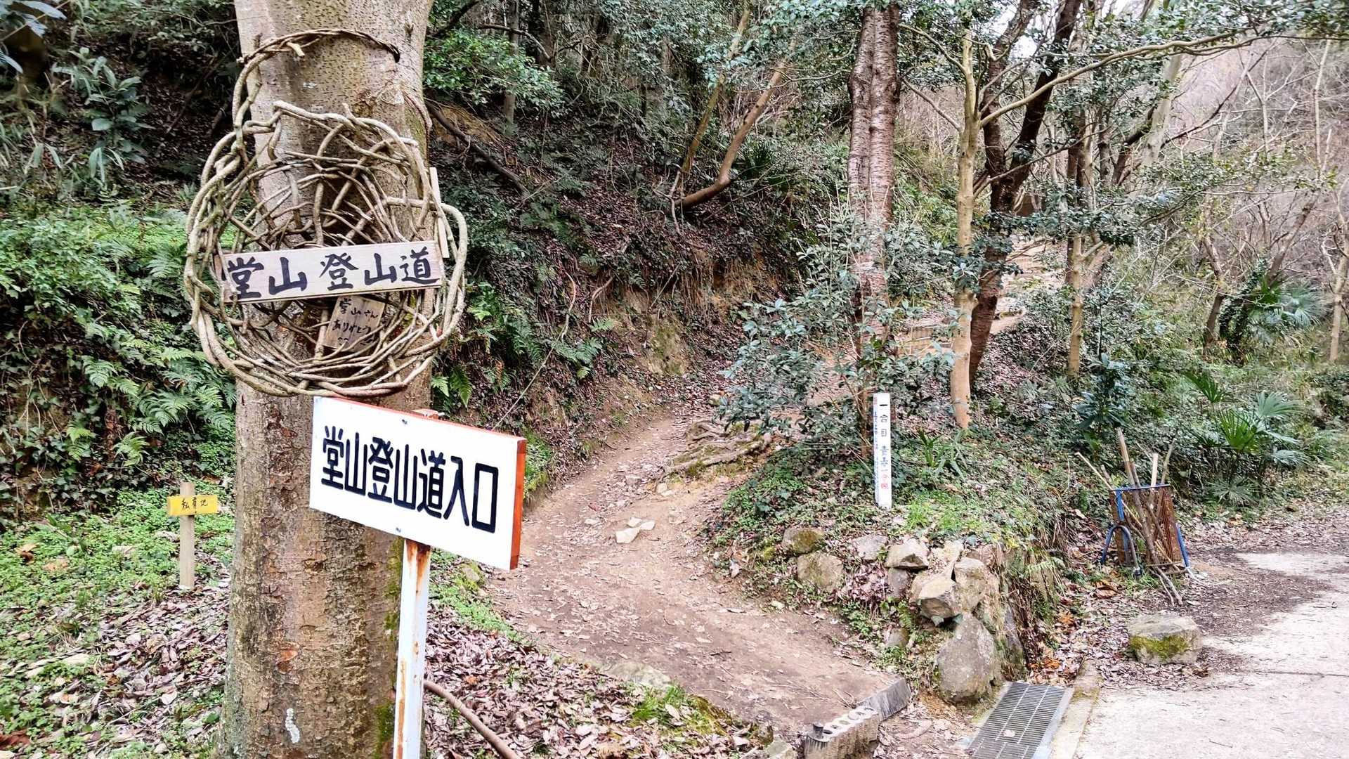 やって来ました、登山道入口！
何か気の枝でオブジェある😆