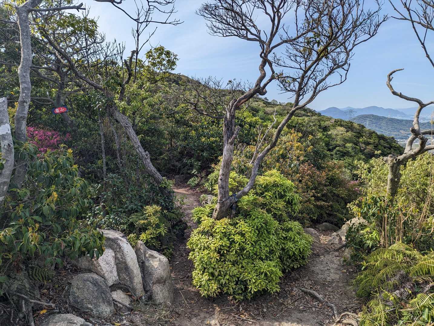 四王司山登山口-四王司山-勝山-田倉山 周回コースの写真