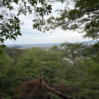今日イチの景色✨

低いなぁ😅