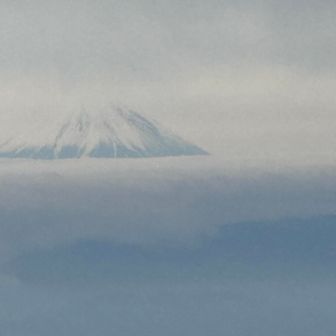 富士さーん