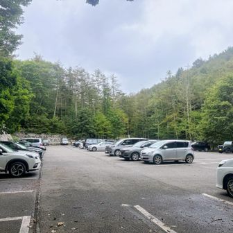 あれだけガラガラだった駐車場は半分くらい埋まってました🚙