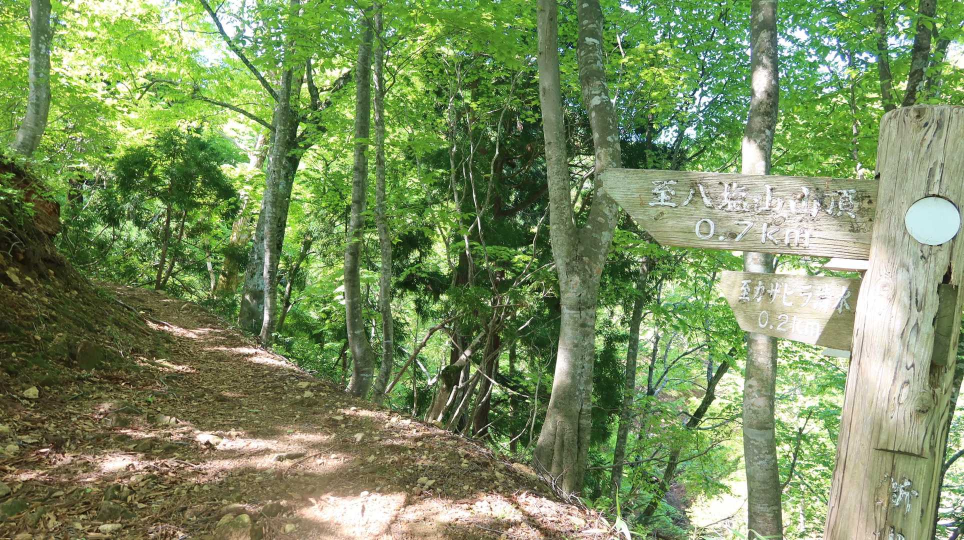 迂回コースを行きます🚶