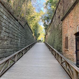 猿島は江戸時代末期に日本で初めて砲台が整備された場所らしいです