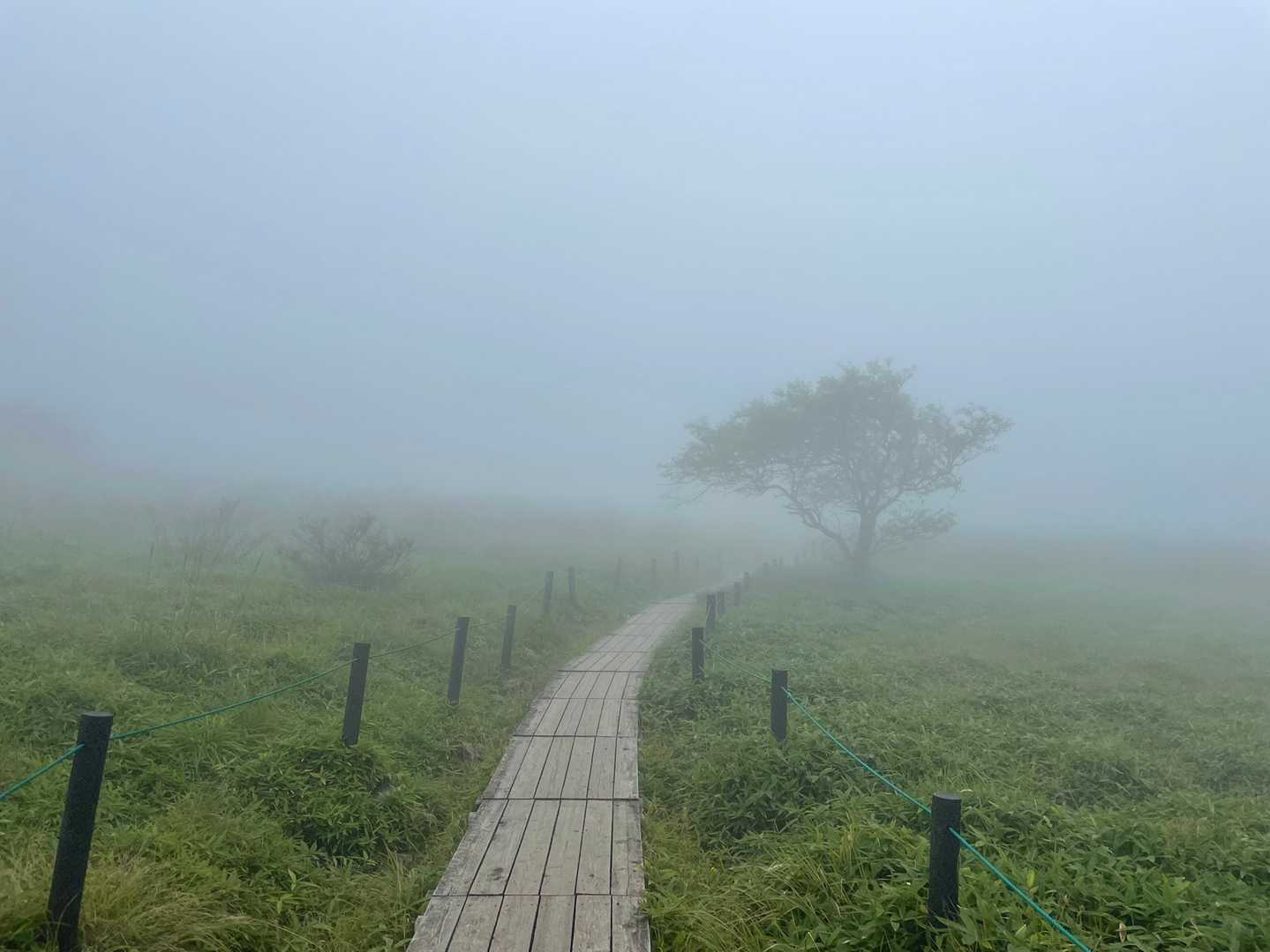 車山肩バス停-車山乗越-南の耳-男女倉山-蝶々深山 周回コースの写真