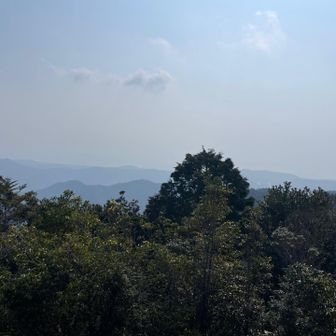 山頂からの景色