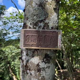 鉄板を浮き彫りにしたような山名標。丈夫そう