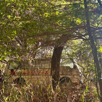 山頂にめちゃくちゃ古い車が放置されてました😵なんで？
車で来れるような場所には見えなかったので不思議すぎました😳