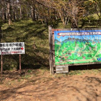 分岐点