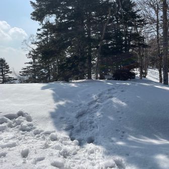 雪が緩んでしまう前に、女鹿岳へ向かいます