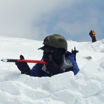 たなかことマダニさん