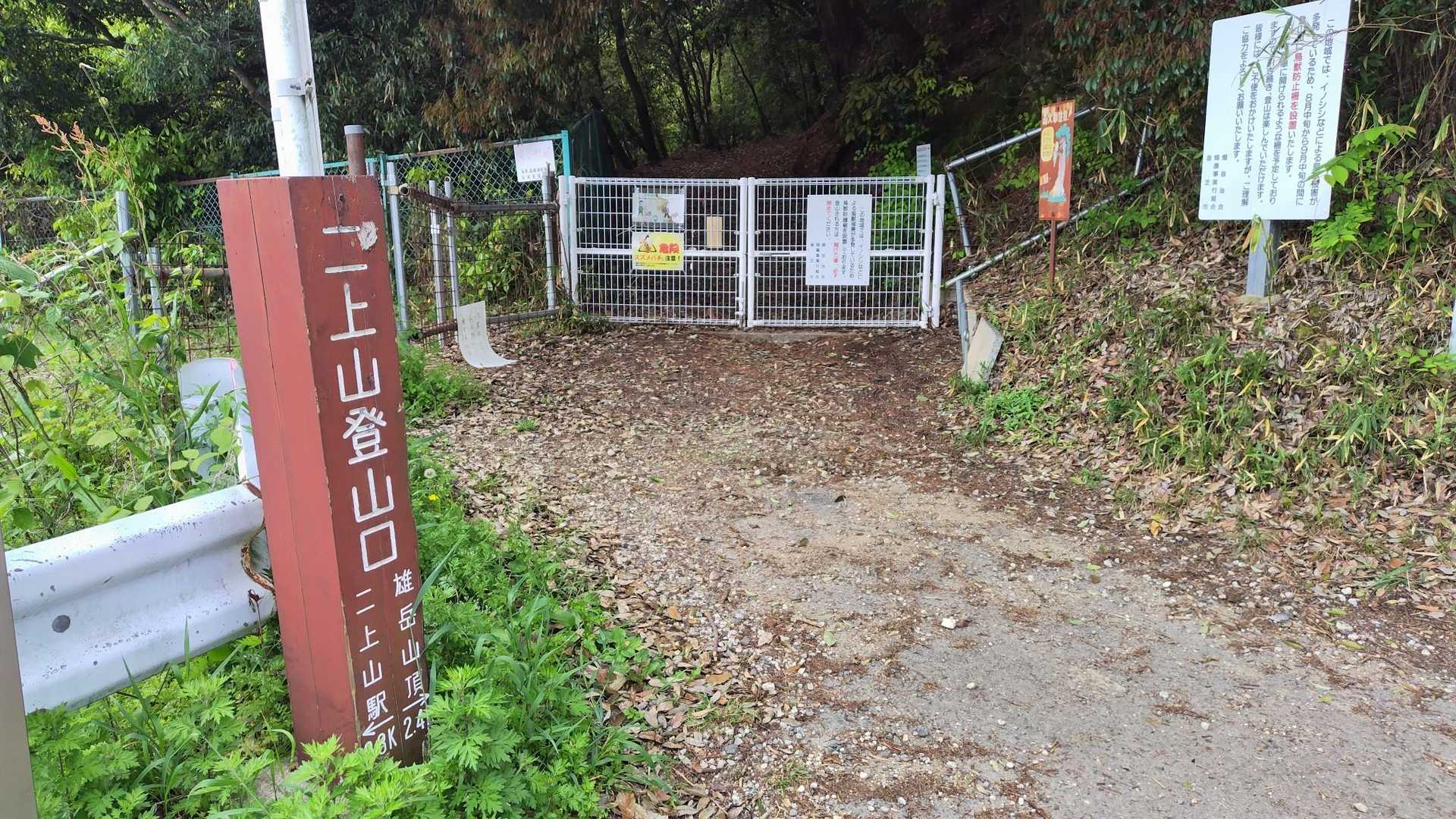 ここからは⤴️のは久々