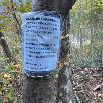 田尻尾根から下山です。ここまでの下山道は大渋滞ですが、私しか歩いていませんでした。
未整備で土が滑りやすいので、お勧め致しません