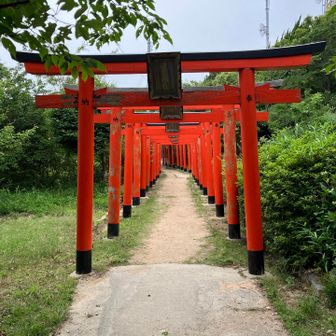 立派な鳥居