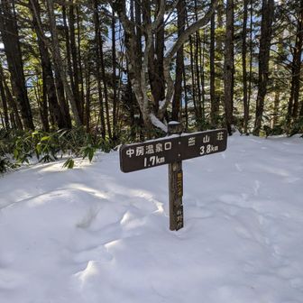 まだ半分来てない