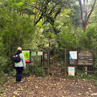防ヶ沢登山口入ります🫡