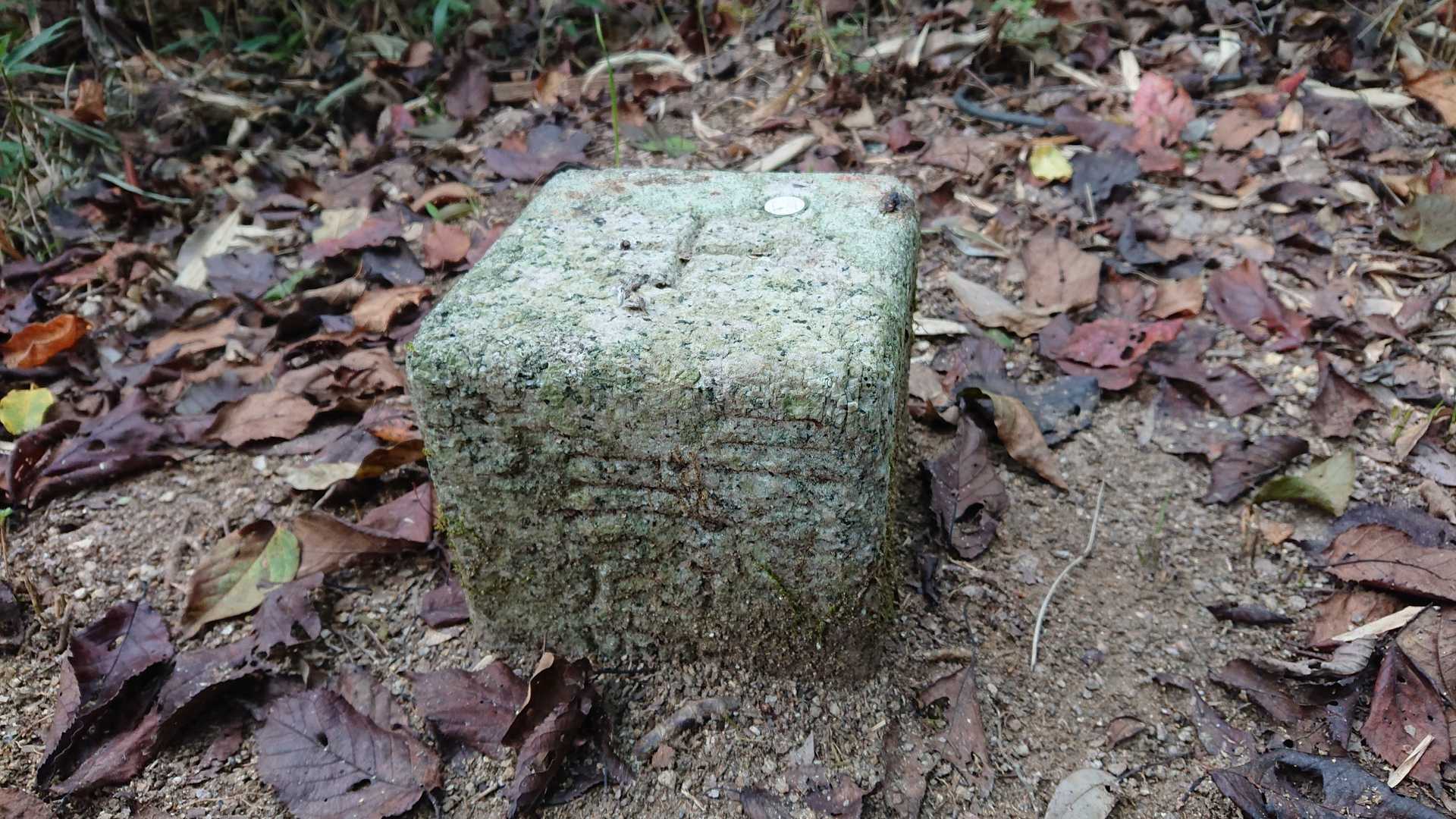 大野山(点名:大野)三等三角点