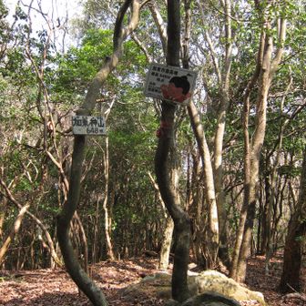 加東市の最高地点です👍