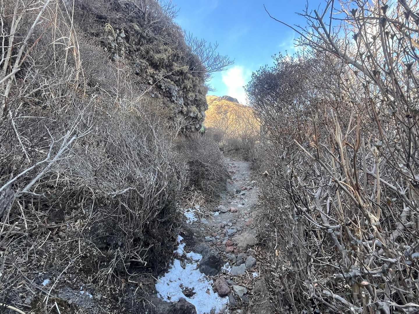 左側の岩場につららは無かった。
でも雪が少し残っててヒンヤリ❄️