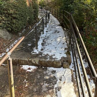 少し凍ってました