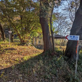 あっさりと開けたところに道標の奥に根本山の山頂標。
