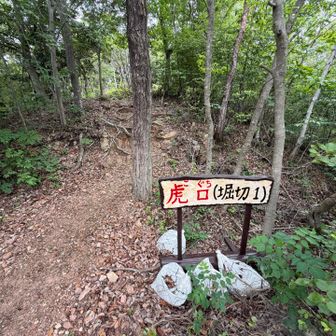 今日は迫間山のこの看板見にきました👀
主張つよつよ👍