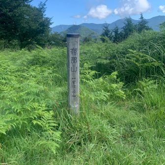 帯那山山頂