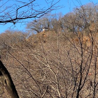 ゴールが見えた！