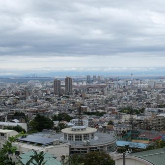 五毛　灘丸山公園にも針孔がある