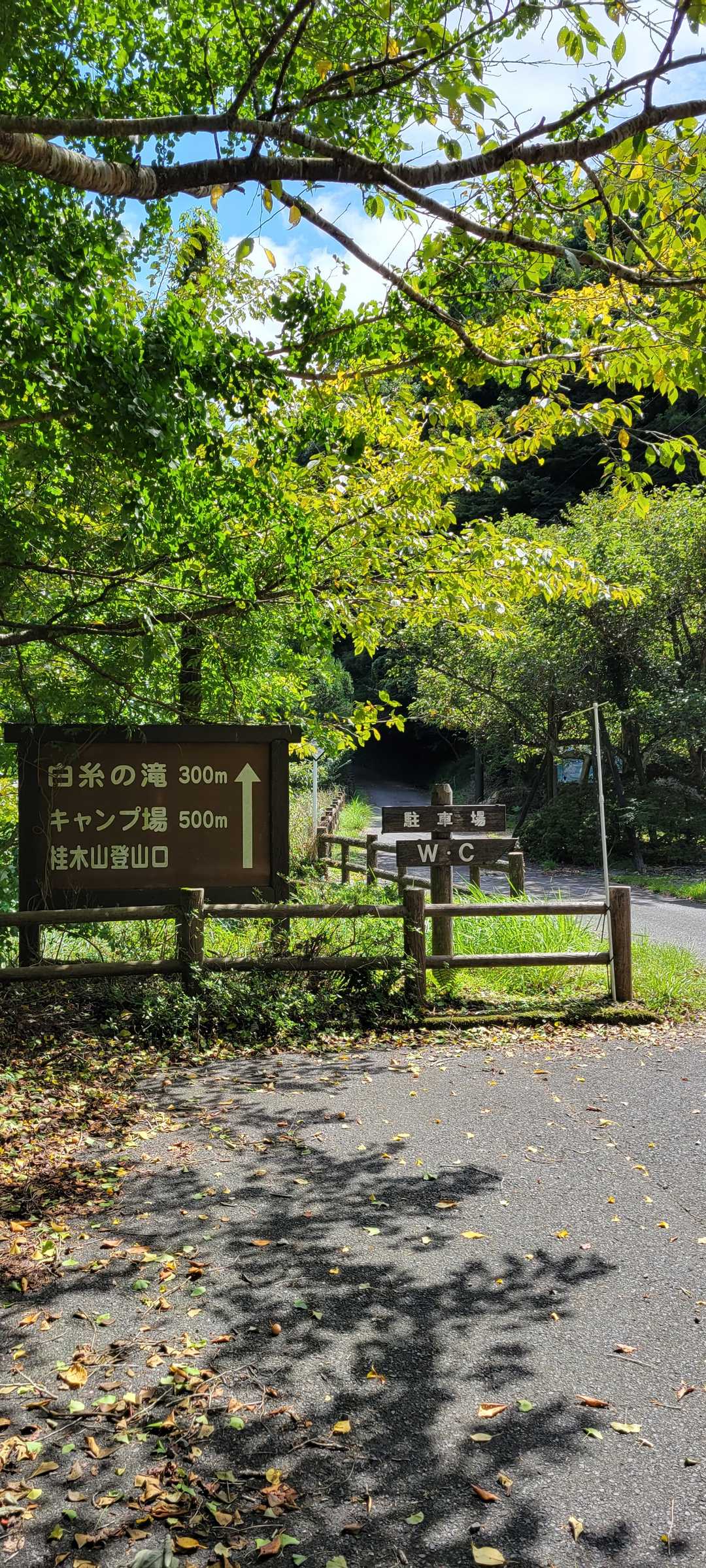 まずは道路をテクテク🚶‍♂️