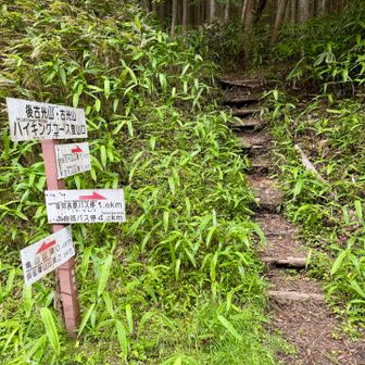 スタート地点の登り口に戻り