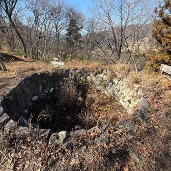 ここに隠れて？