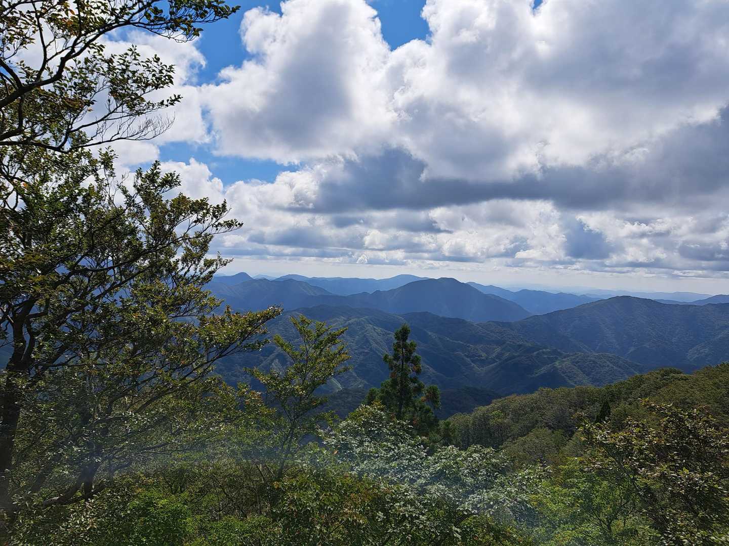 打原峠-安蔵寺山 往復コースの写真