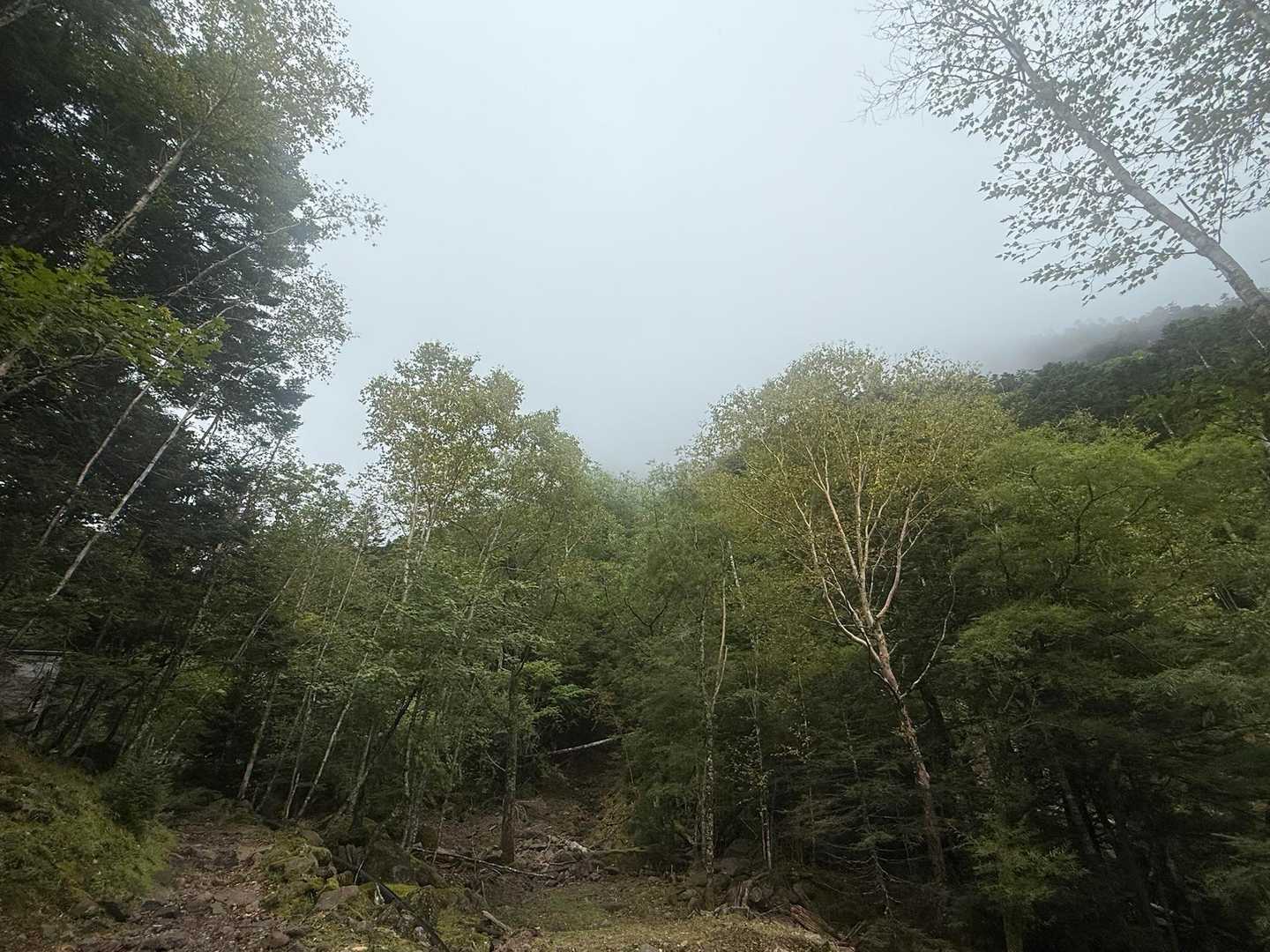 雨が降り出しそうになってきました