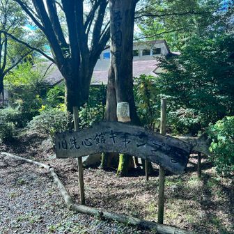 旧洗心館キャンプ場
↑なんて読む？

(ここを通り抜ける時、リード無しのたくましいもふもふワンちゃん2匹に追いかけられました。)