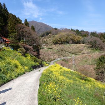 奥に見えるのが大江高山
