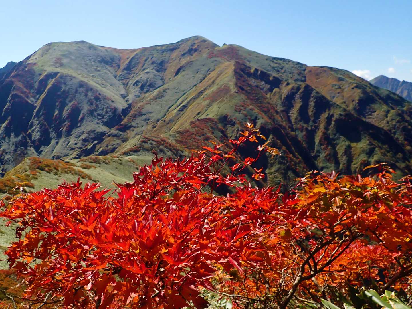 紅葉と茂倉岳-一ノ倉岳！