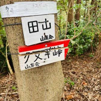 登頂。